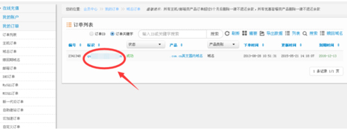 找到我们的域名然后单击该域名