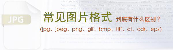 常见的图片格式到底有什么区别？
