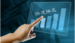 揭秘SEO快排技术