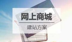 网上商城/电子商务网站建设方案
