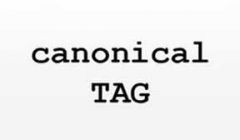 使用canonical标签解决网址规范化问题