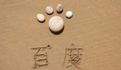 浅谈百度网页排名算法